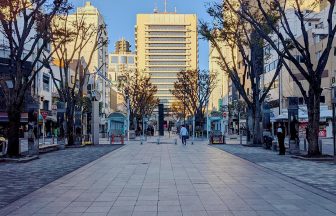 青葉緑地（青葉シンボルロード）