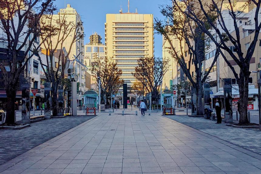 青葉緑地（青葉シンボルロード）